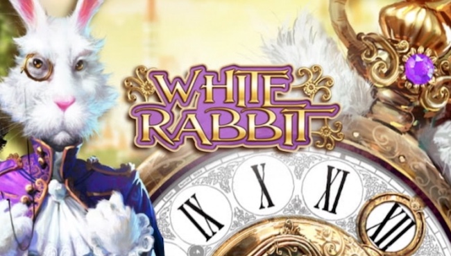 White rabbit family карта лояльности