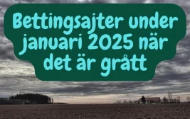 Bettingsajter under januari 2025 när det är grått och trist ute.