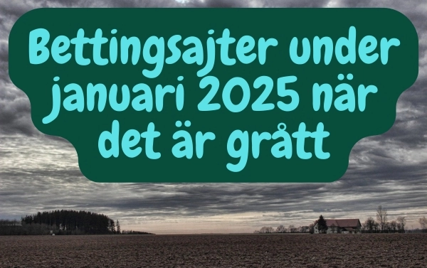 Bettingsajter under januari 2025 när det är grått och trist ute.